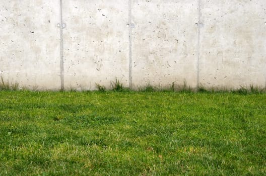Grass vs Concrete