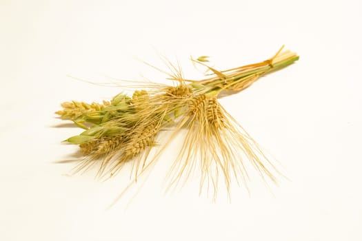 Grain Bundle 2