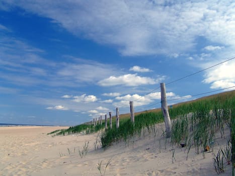 Dune Fence