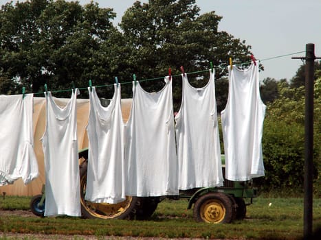 seen on a bike ride in a rural area.