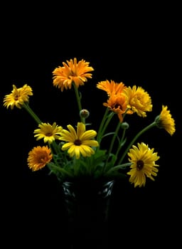 Flower vase 01