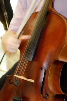 Musician on the cello