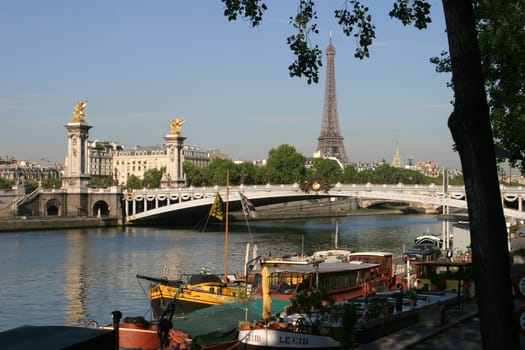 France,Paris,pont Alexandre III,Eiffel Tower