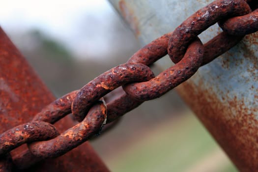 Trapped by a chain