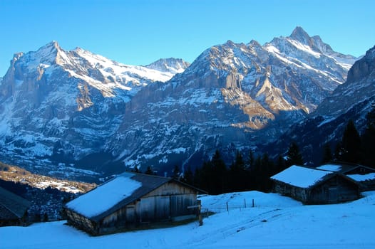 Grindelwald with Wetterhorn (3692 m) and Schreckhorn (4078) m Bernese Alps Switzerland