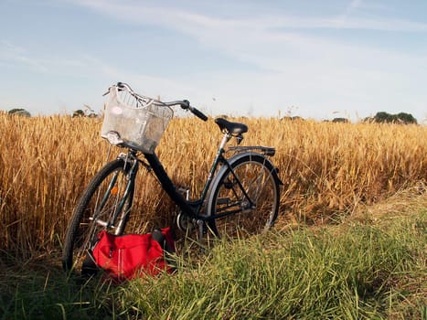 Bike tour to the cornfield