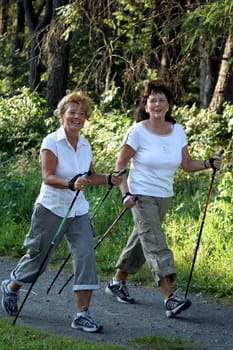 Pole walking