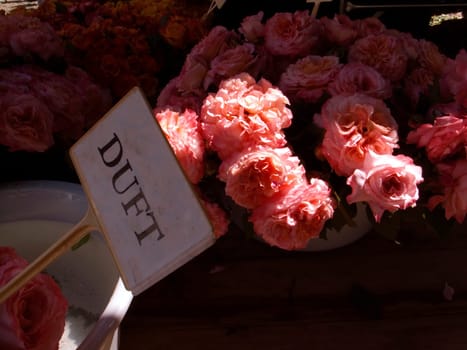 Aroma