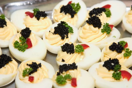 Caviar eggs