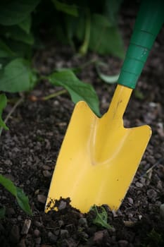 Yellow-green shovel