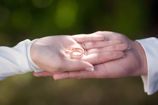Wedding couple showing rings