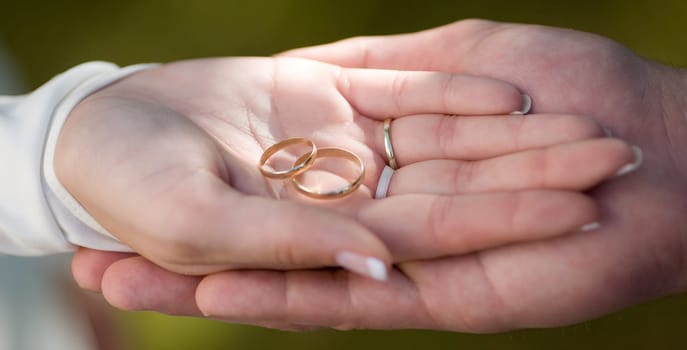 Wedding rings show