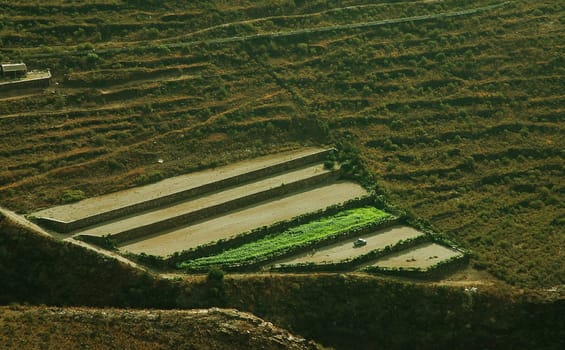 Here is just a photo of how Tenerife is trying to create new cultivation areas! I'm not so satisfied with the quality of the picture myself,because it was noon and backlight too...!:-)