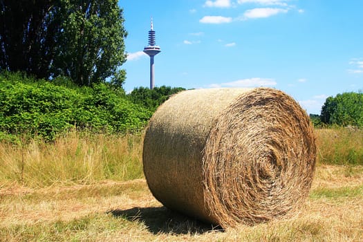 Hay bales in Frankfurt