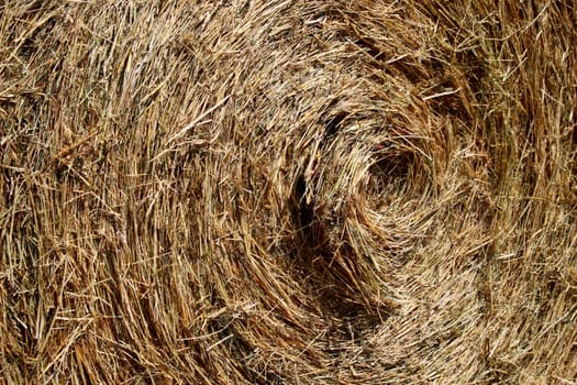 Hay bales up close