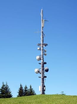 Modern fir tree
