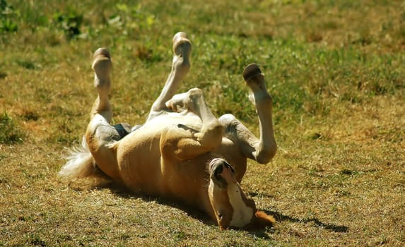 In the greatest midday heat.....!