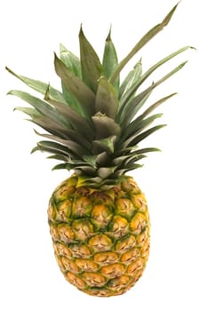 Pineapple with pruning path