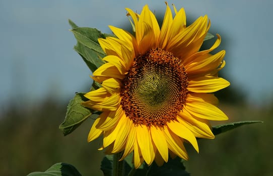 There are already 10000-end of it,but because the one doesn't do anything anymore..!:-)