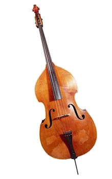 Contrabass