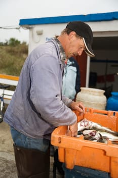 A fisherman sorting fish