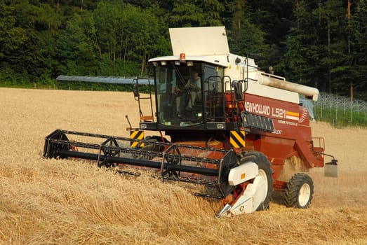 Harvest time