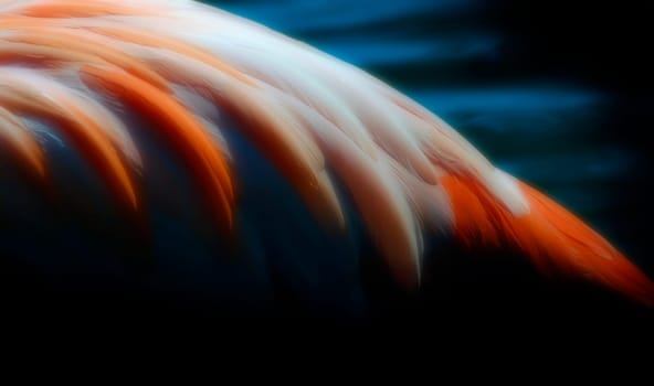 Soft orange