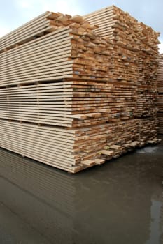 Woodpile
