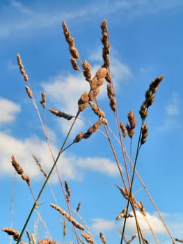 Up to the sky