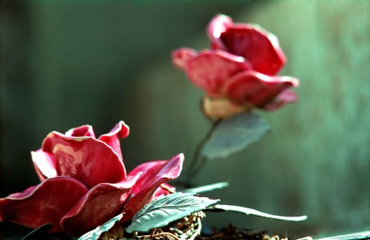 Porcelain rose