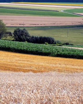 Field geometry