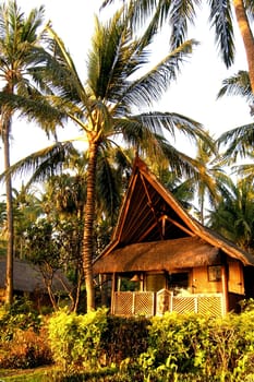 That's how we lived in North Bali...