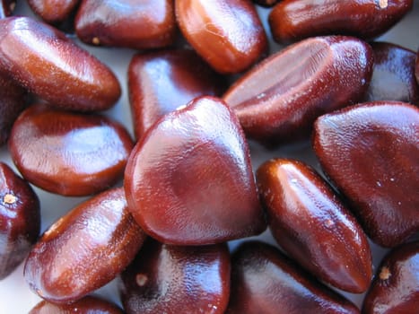 Tamarinds are 5-20cm long,finger-thick,grey-brown to cinnamon-coloured and a little curved. Beneath the breakable skin is brownish to black-reddish pulp,which is embedded in dark,10mm large seeds.  The fruit is native to the