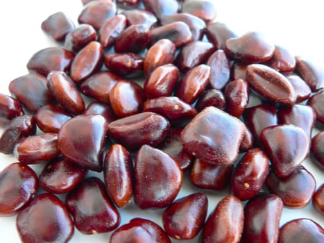 Tamarinds are 5-20cm long,finger-thick,grey-brown to cinnamon-coloured and a little curved. Beneath the breakable skin is brownish to black-reddish pulp,which is embedded in dark,10mm large seeds.  The fruit is native to the