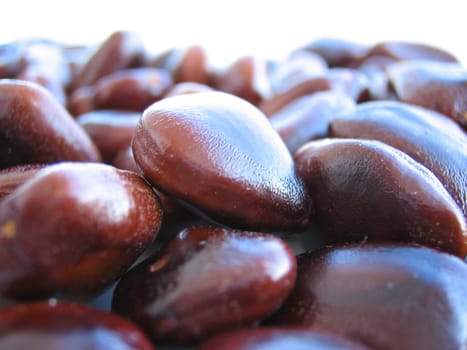 Tamarinds are 5-20cm long,finger-thick,grey-brown to cinnamon-coloured and a little curved. Beneath the breakable skin is brownish to black-reddish pulp,which is embedded in dark,10mm large seeds.  The fruit is native to the