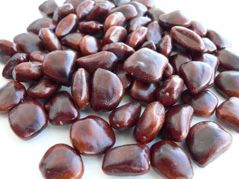 Tamarinds are 5-20cm long,finger-thick,grey-brown to cinnamon-coloured and a little curved. Beneath the breakable skin is brownish to black-reddish pulp,which is embedded in dark,10mm large seeds.  The fruit is native to the