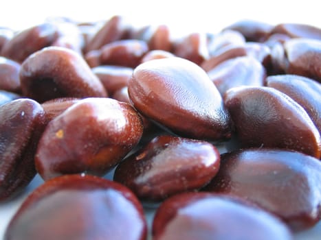 Tamarinds are 5-20cm long,finger-thick,grey-brown to cinnamon-coloured and a little curved. Beneath the breakable skin is brownish to black-reddish pulp,which is embedded in dark,10mm large seeds.  The fruit is native to the