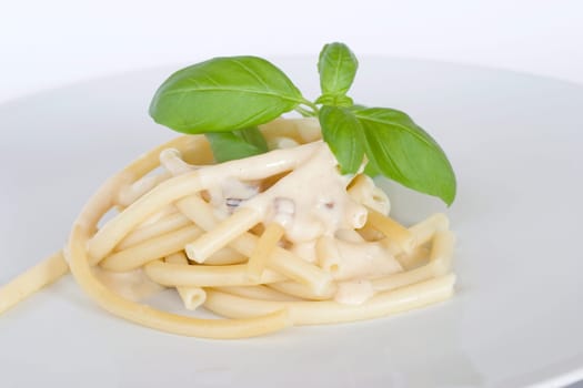 Macaroni with basil