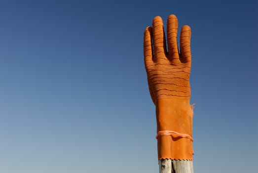 Glove on the island of Neuwerk,Germany