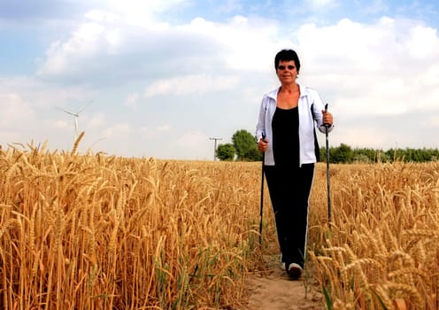 through the cornfield
