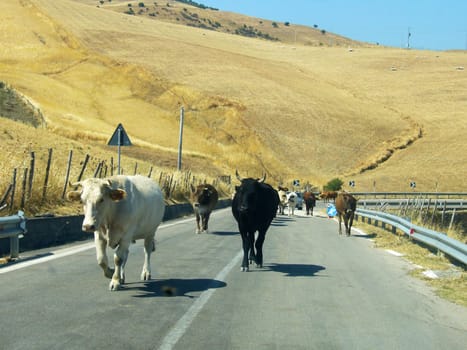Oncoming traffic