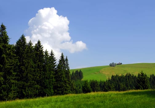 Lush mountain meadow in Appenzellerland (Switzerland) seen on the ascent to Kronberg 1652 meters above sea level.