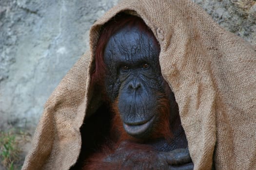 Result of a photography course at the zoo.