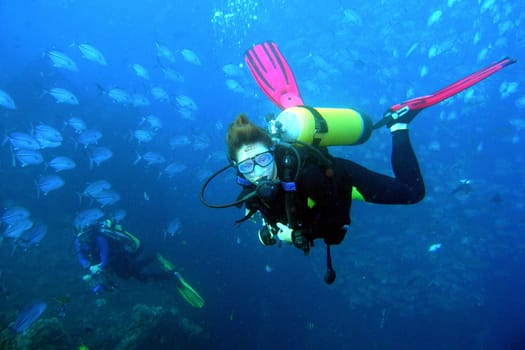 In North Bali lies the wreck of the Liberty. There is always a big school of mackerel. Here are just a few fish of it! It's really fun to dive there!