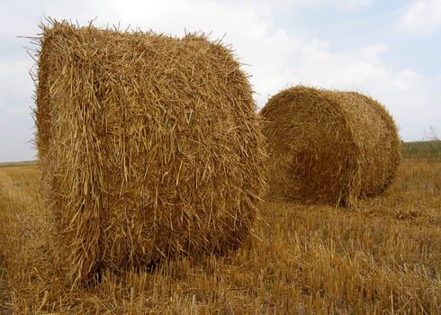 AFTER THE HARVEST...