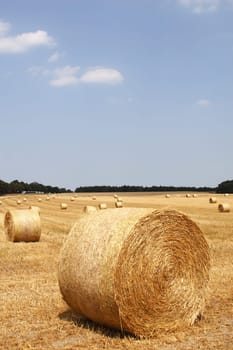 Straw roll