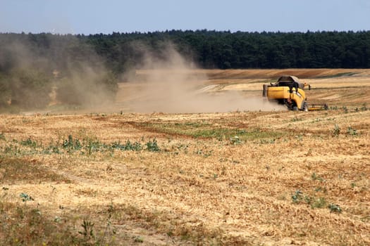 Drought harvest