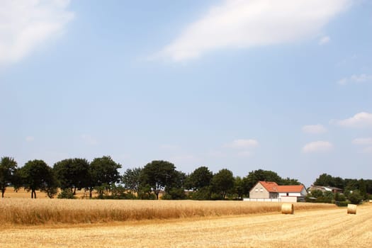 farmstead