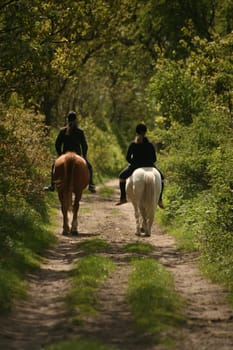 Two girls on horses on an idyllic dirt road