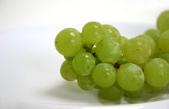 Grapes (4)